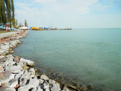 Balaton